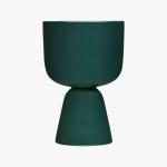 Large Green Bell Pepper