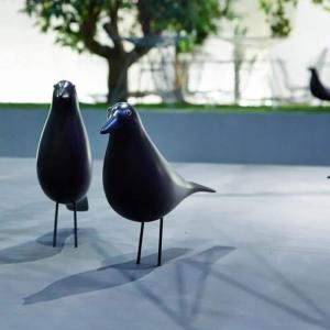 Province Piece Glass Drinking Glass